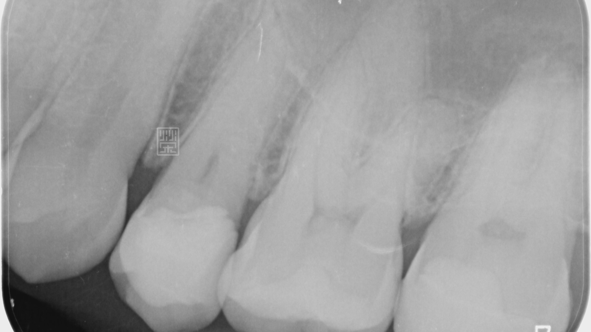 網站照片 IIV.009